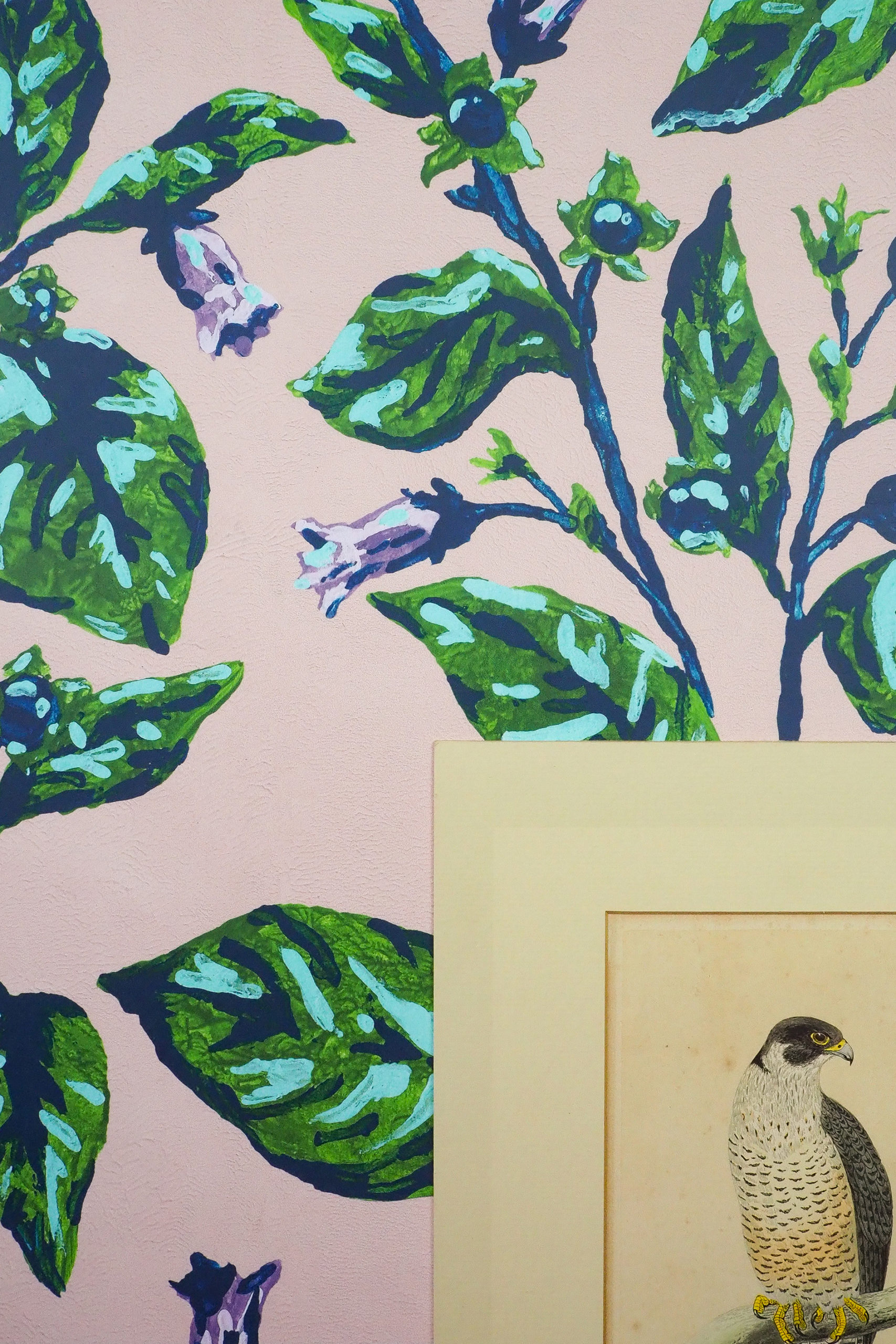 Whimsical Eccentric Birds Leaves Multicolour Non Woven Wallpaper | Witch  and Watchman Belladonna