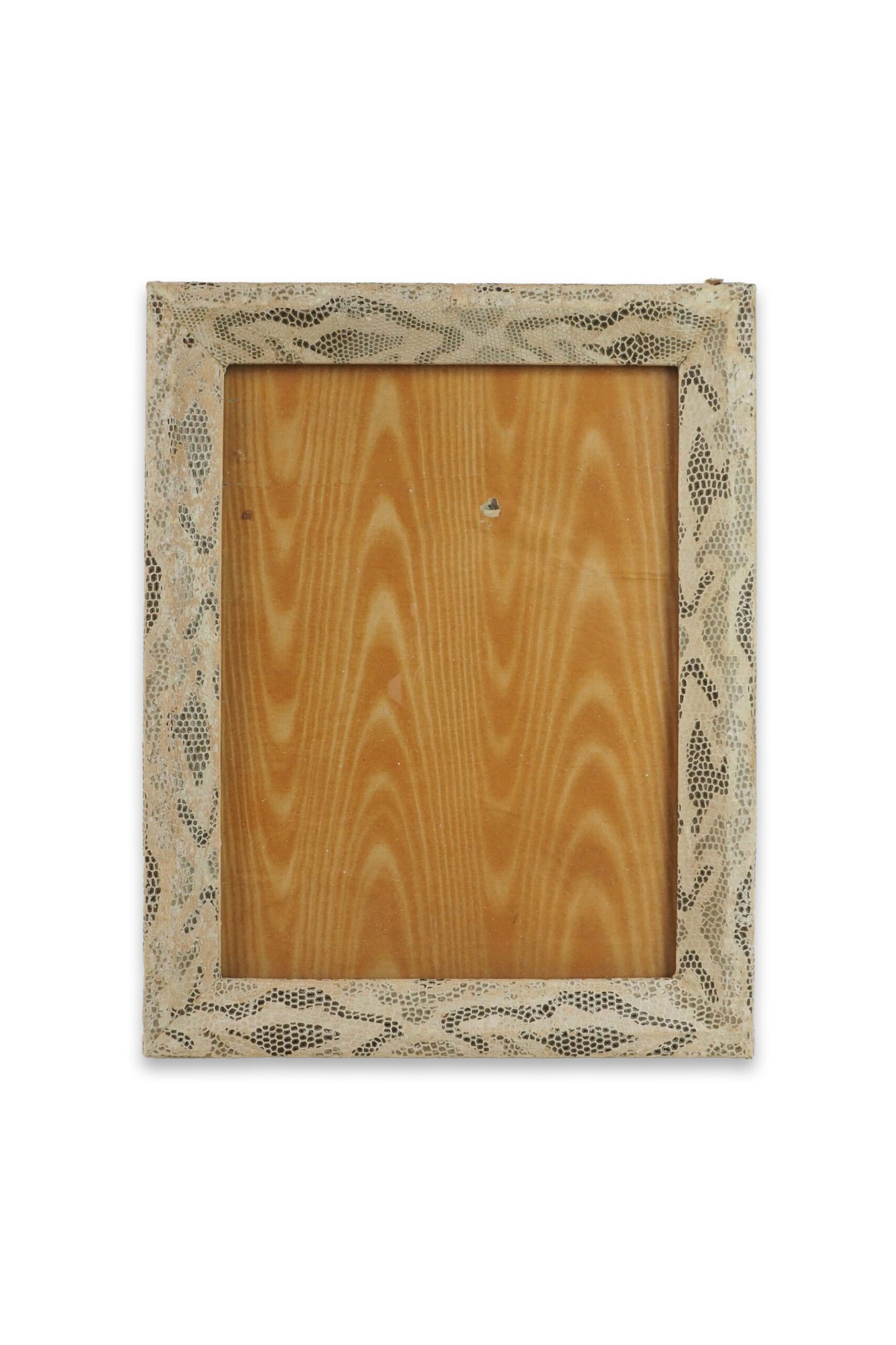 Vintage Snake Print Frame