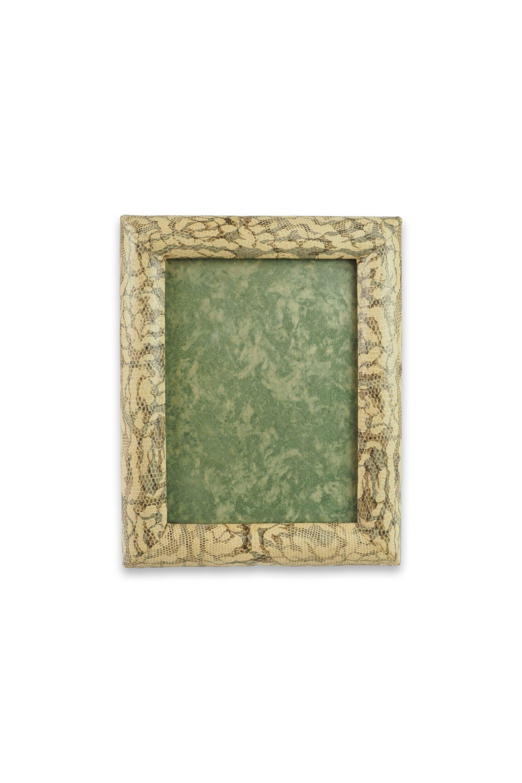 Vintage Snake Print Frame