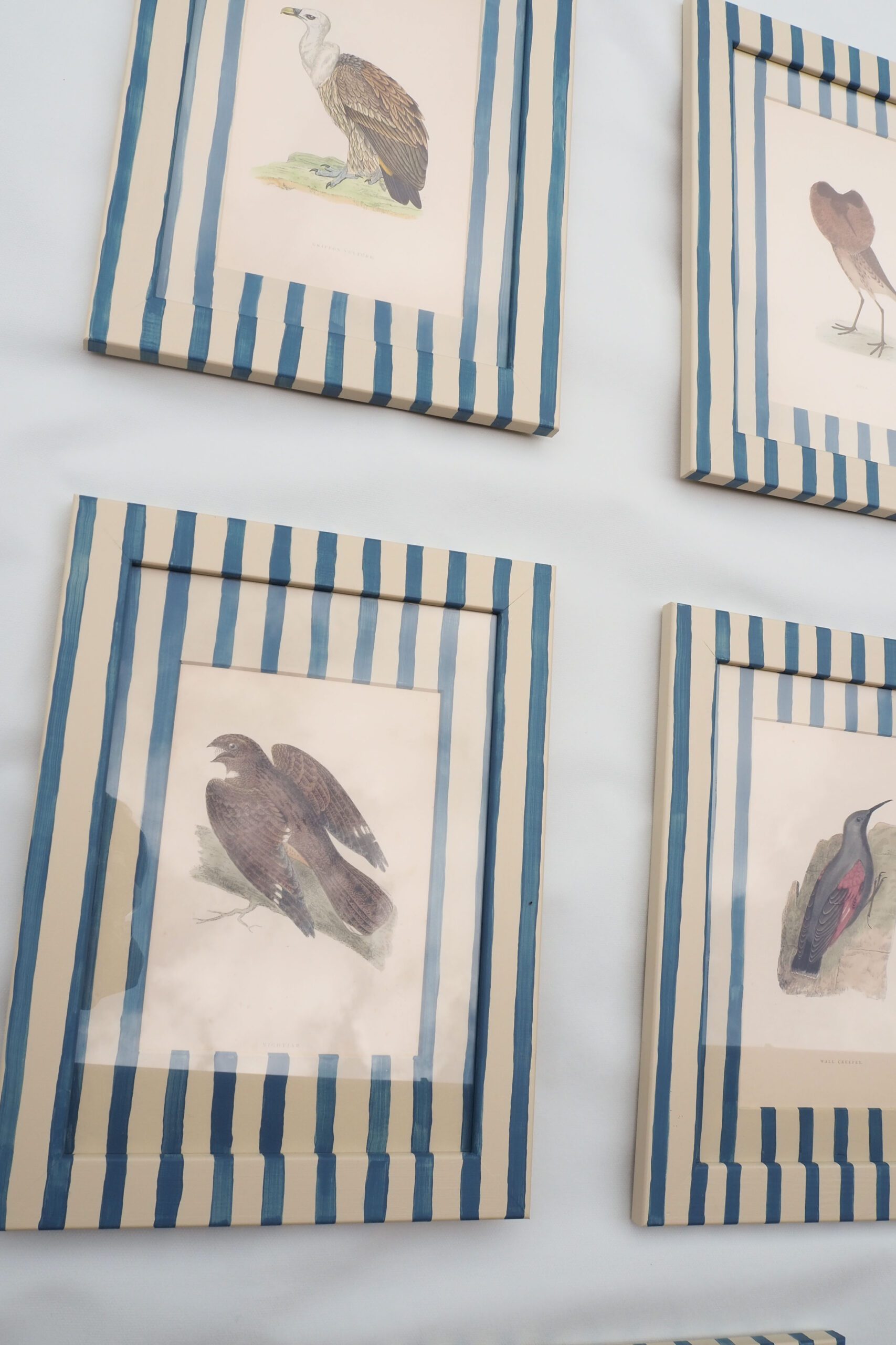 Antique Birds in Hand Painted Frames By Wildmore
