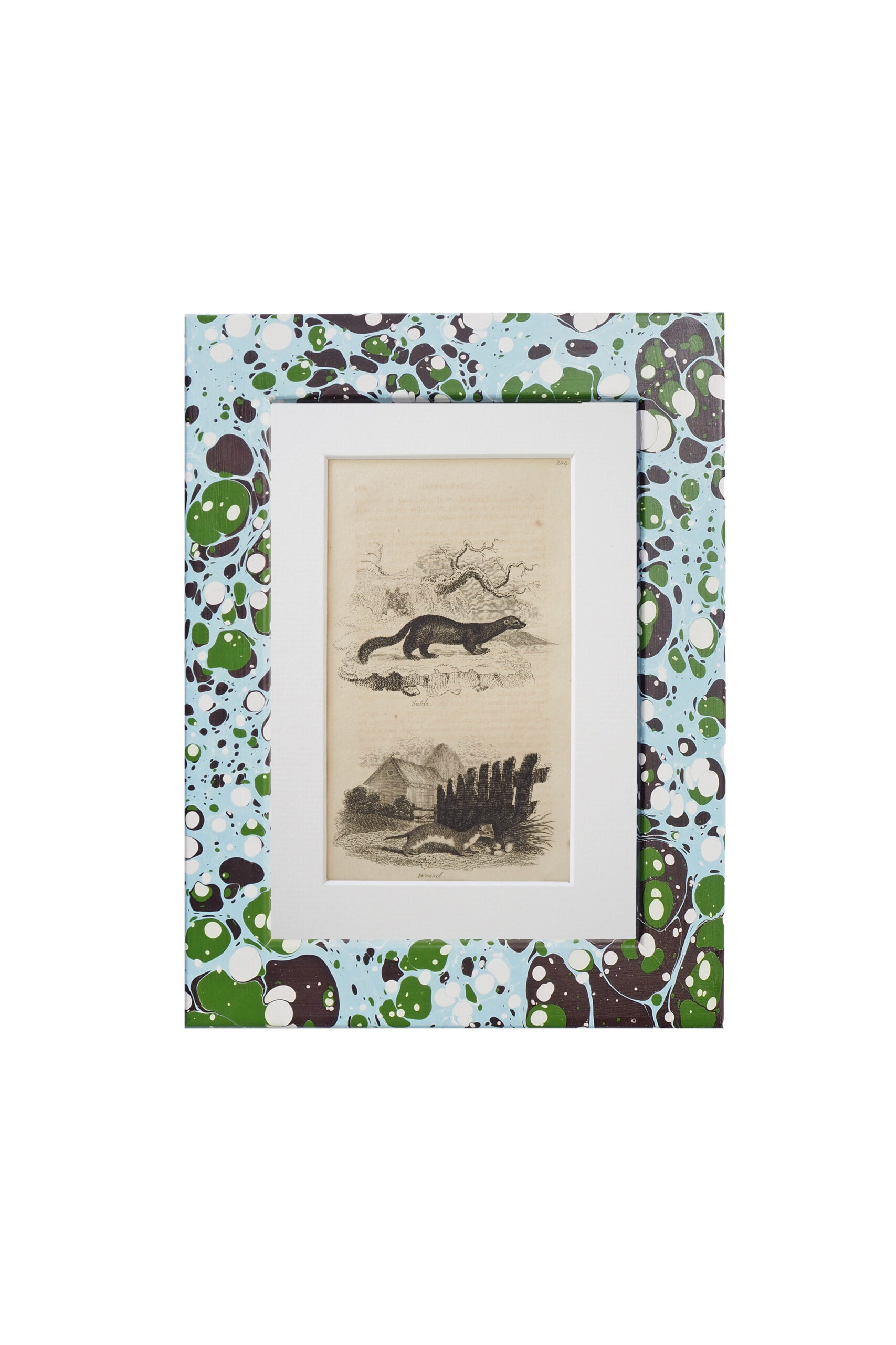 Antique 1806 Framed Animal Prints come in a unique hand marbled Wildmore Frame in either Igneus or Glacier