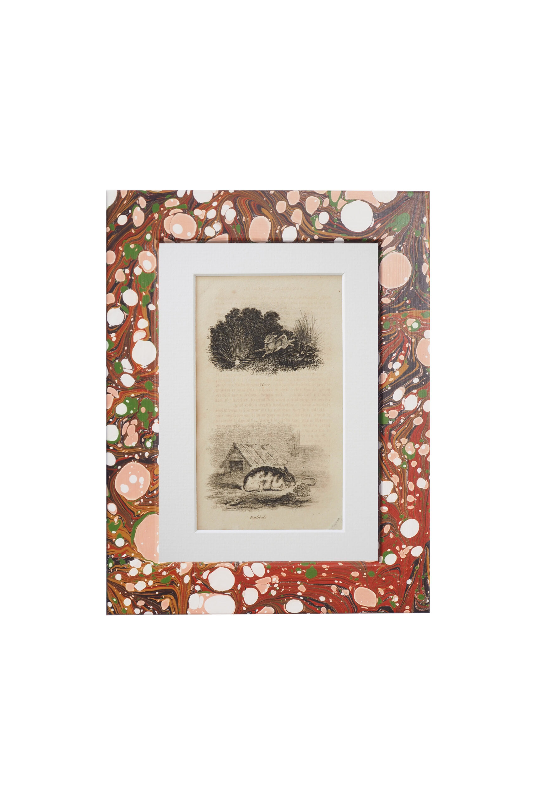 This original 1806 Framed Animal Print of a Hare and a Rabbit comes in a unique hand marbled Wildmore Frame in either Igneus or Glacier