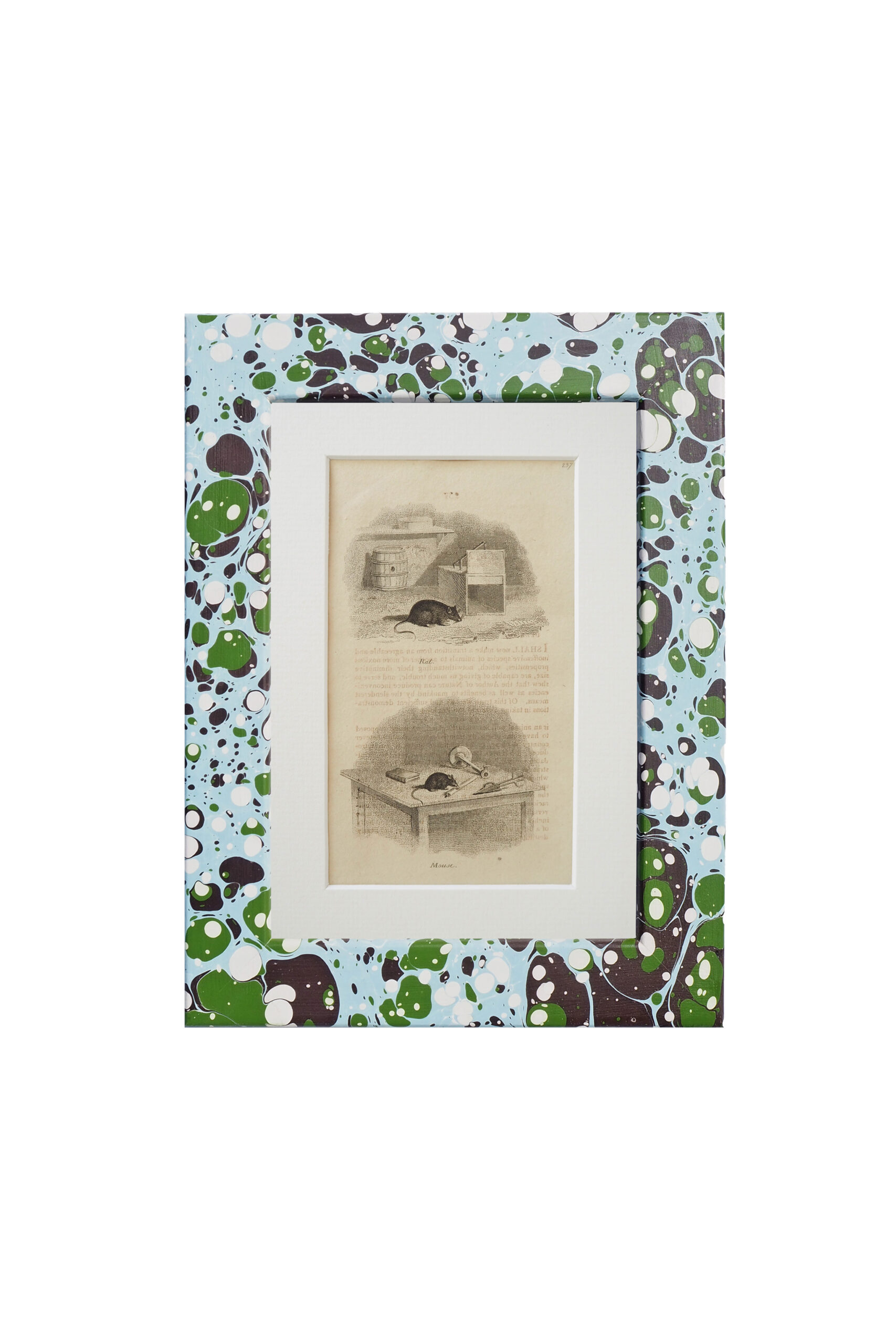 Antique 1806 Framed Animal Prints come in a unique hand marbled Wildmore Frame in either Igneus or Glacier