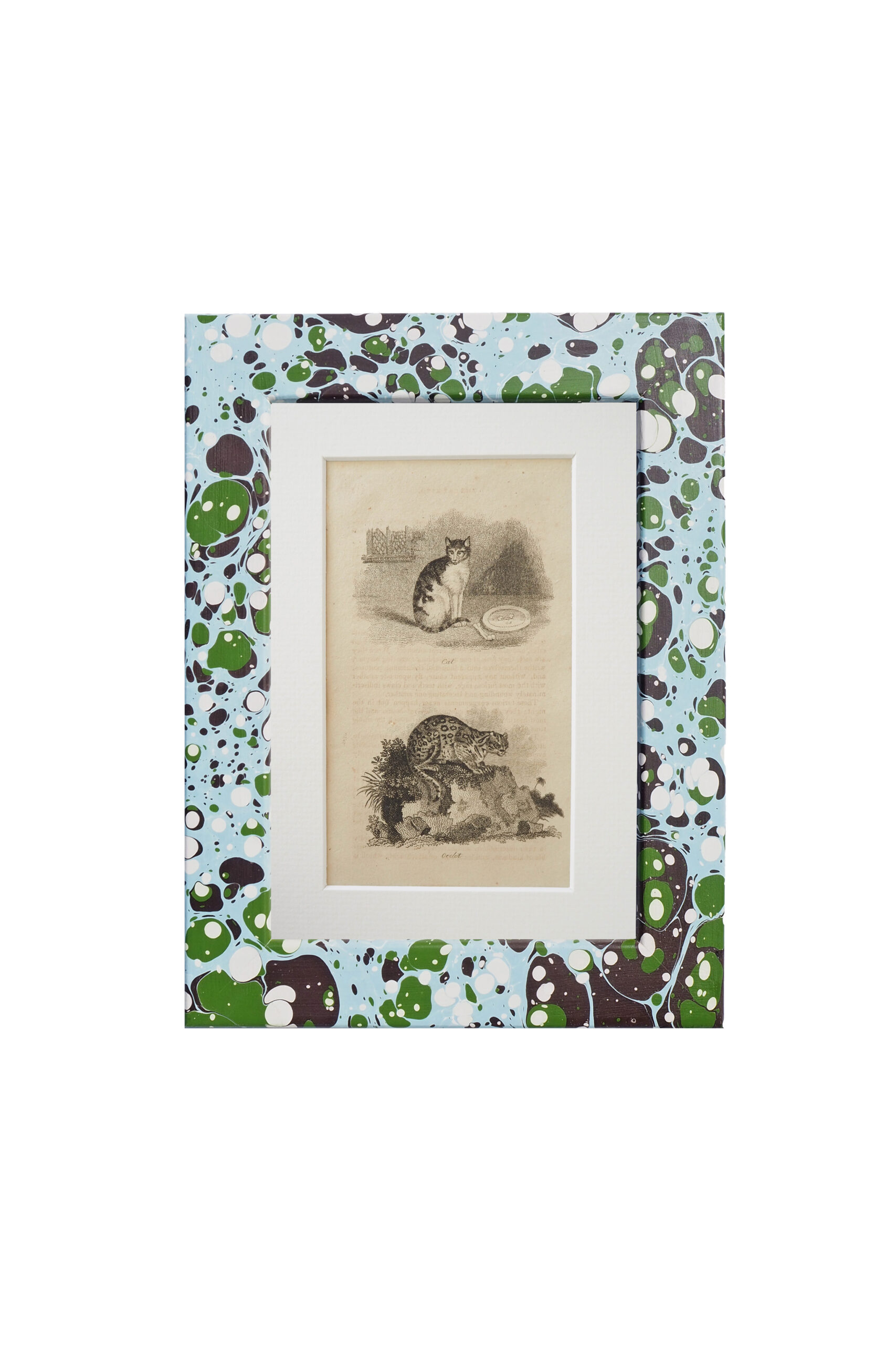This original 1806 Framed Cat Print of a Cat and an Ocelot comes in a unique hand marbled Wildmore Frame in either Igneus or Glacier