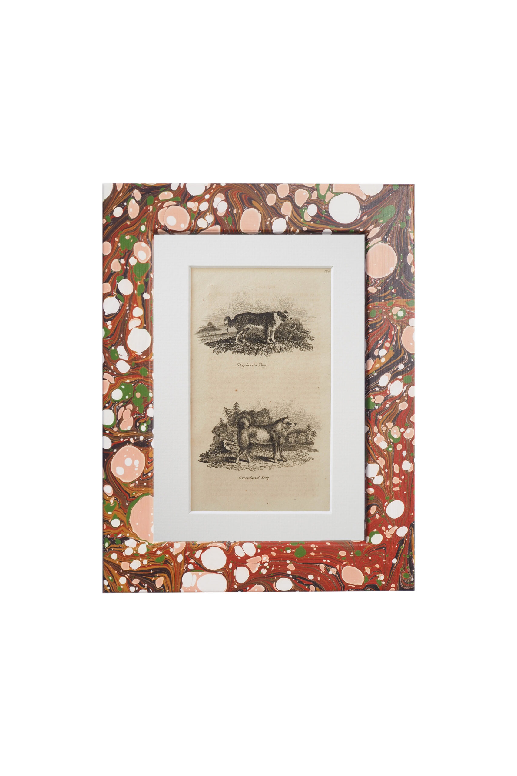 This original 1806 Framed Dog Print of a Shepherds Dog and a Greenland Dog comes in a unique hand marbled Wildmore Frame in either Igneus or Glacier