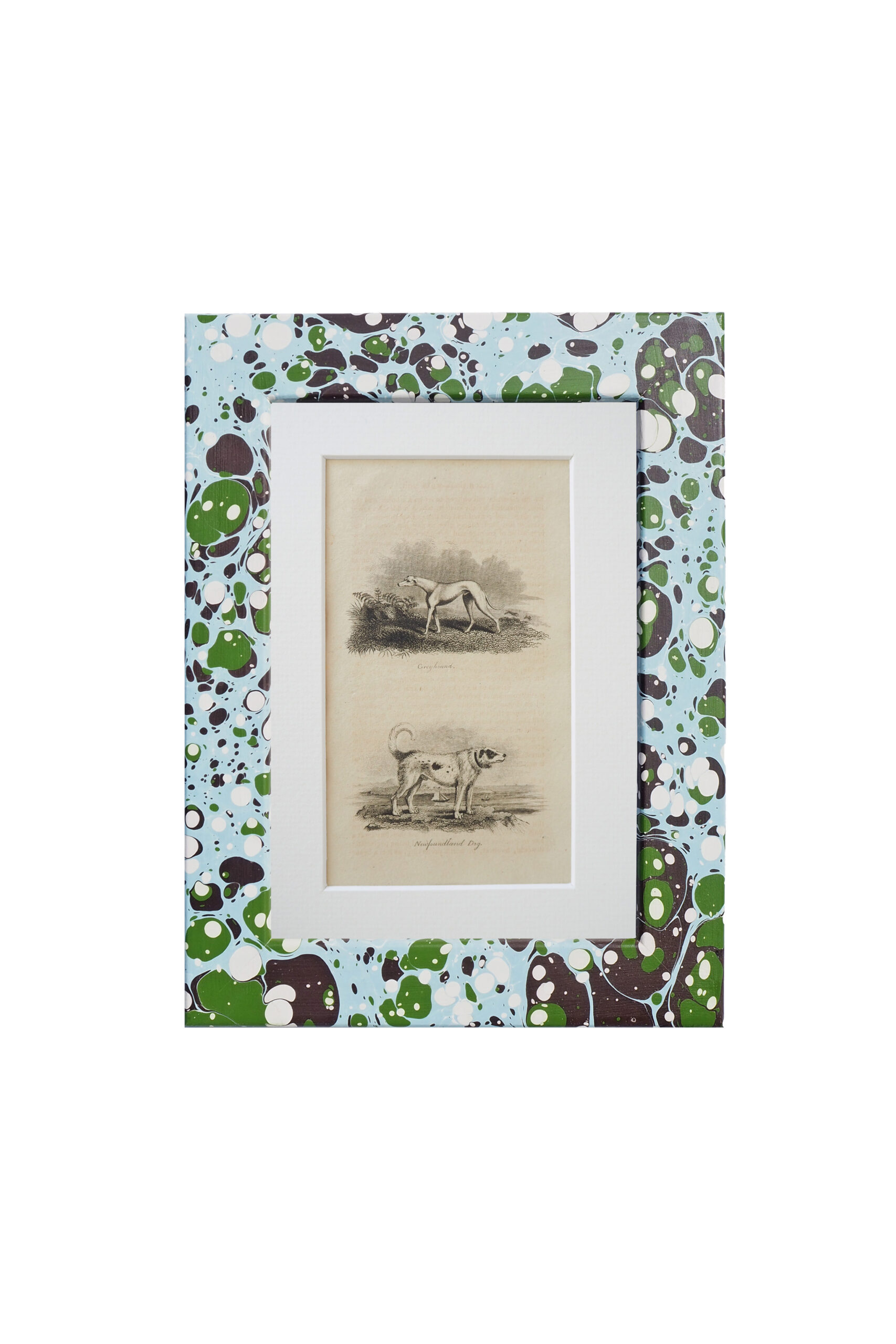 This original 1806 Framed Dog Print No.08 of a Greyhound and a Newfoundland Dog comes in a unique hand marbled Wildmore Frame in either Igneus or Glacier