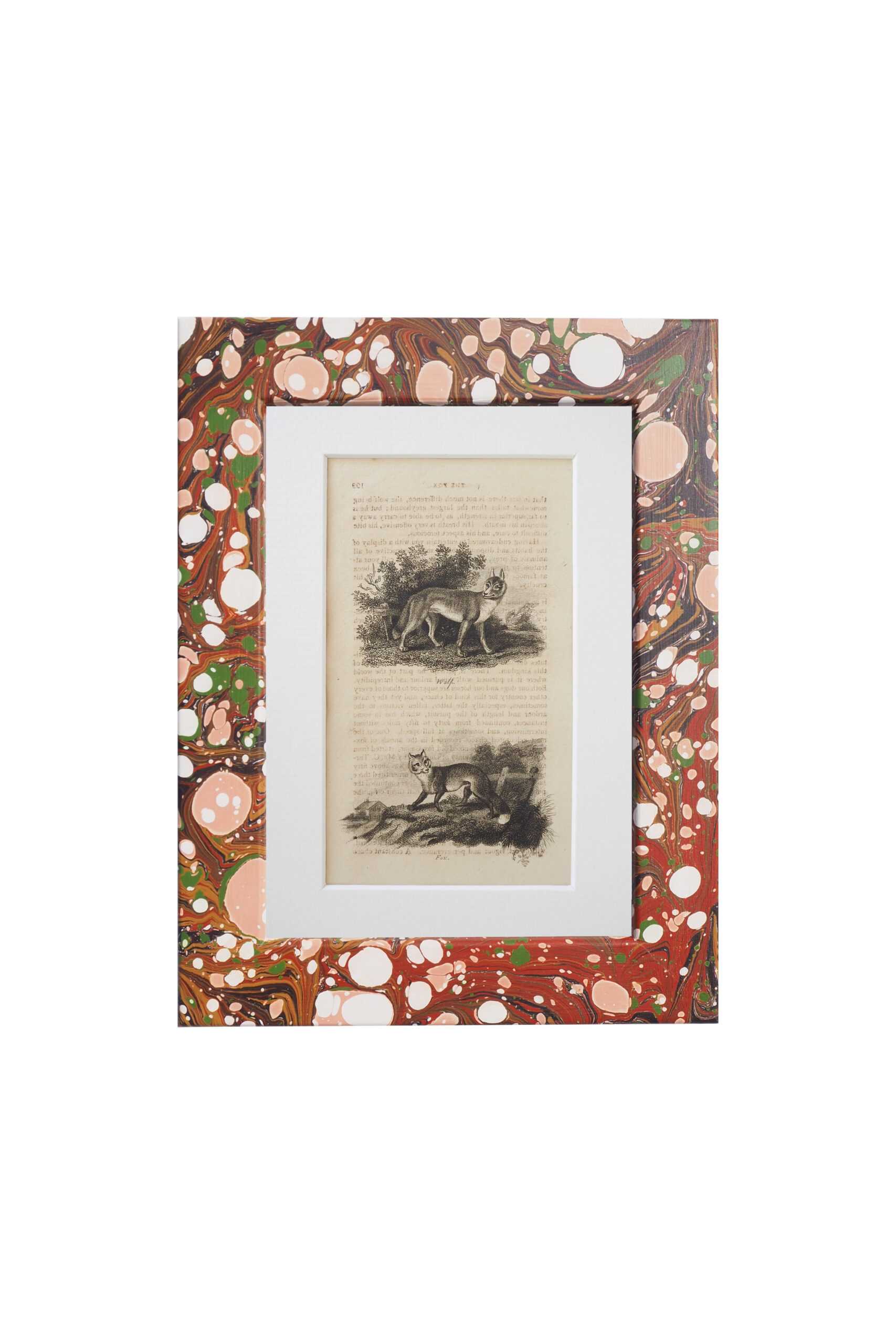 This original 1806 Framed Animal Print No.09 of a Wolf and a Fox