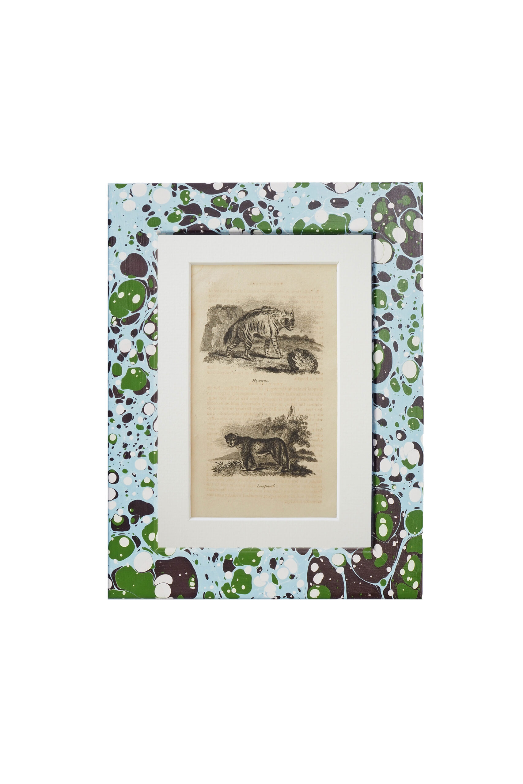 This original 1806 Framed Animal Print No.10 of a Hyena and a Leopard comes in a unique hand marbled Wildmore Frame in either Igneus or Glacier